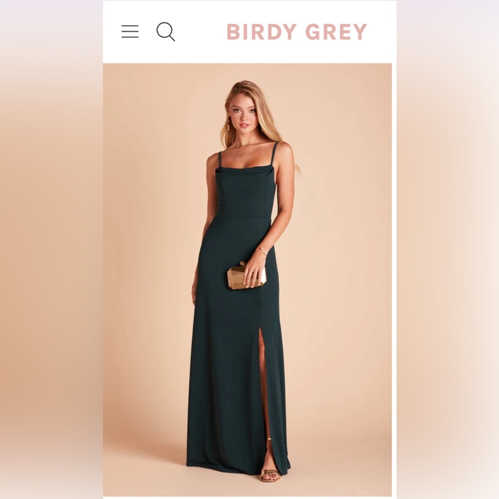 Birdy Grey Ash dress- worn once